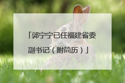 郭宁宁已任福建省委副书记（附简历）