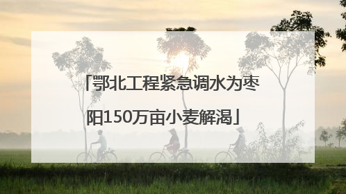 鄂北工程紧急调水为枣阳150万亩小麦解渴