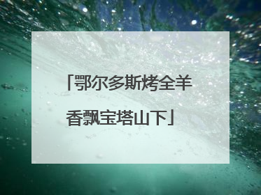 鄂尔多斯烤全羊香飘宝塔山下