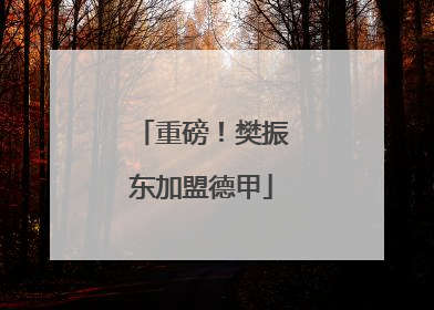 重磅！樊振东加盟德甲