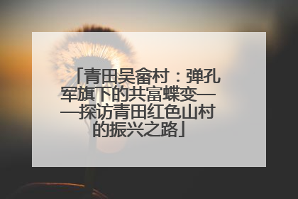 青田吴畲村：弹孔军旗下的共富蝶变——探访青田红色山村的振兴之路