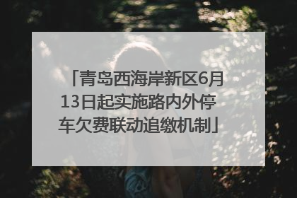 青岛西海岸新区6月13日起实施路内外停车欠费联动追缴机制