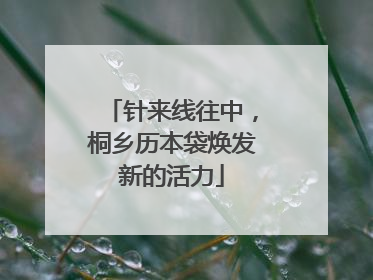 针来线往中，桐乡历本袋焕发新的活力