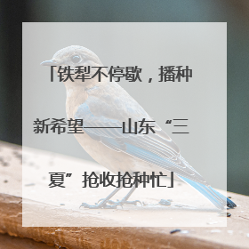 铁犁不停歇，播种新希望——山东“三夏”抢收抢种忙