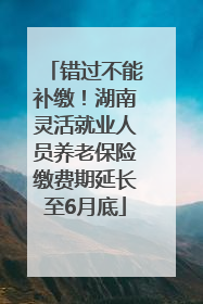 错过不能补缴！湖南灵活就业人员养老保险缴费期延长至6月底
