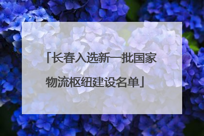 长春入选新一批国家物流枢纽建设名单