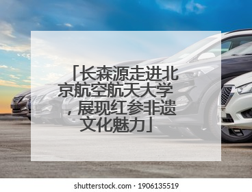 长森源走进北京航空航天大学，展现红参非遗文化魅力