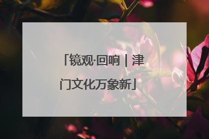 镜观·回响｜津门文化万象新