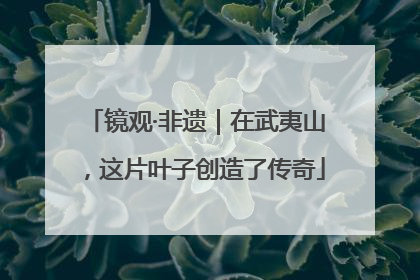 镜观·非遗｜在武夷山，这片叶子创造了传奇