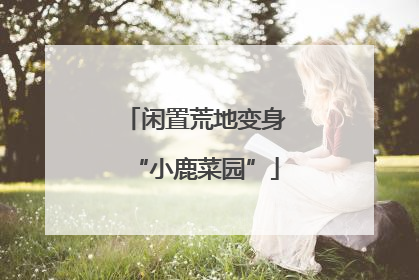 闲置荒地变身“小鹿菜园”