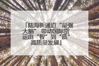 陆海新通道“最强大脑” 带动国际货运由“智”到“质”高质量发展