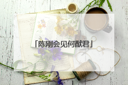 陈刚会见何猷君