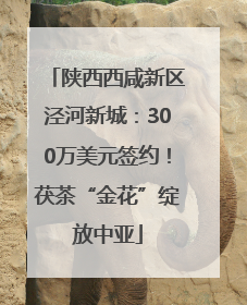 陕西西咸新区泾河新城：300万美元签约！茯茶“金花”绽放中亚