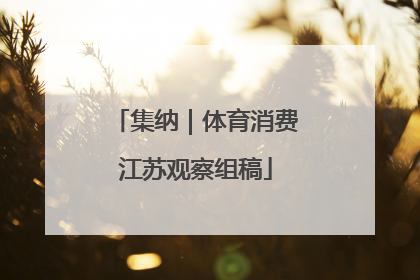 集纳｜体育消费江苏观察组稿
