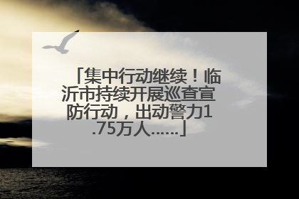集中行动继续！临沂市持续开展巡查宣防行动，出动警力1.75万人……
