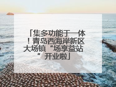 集多功能于一体！青岛西海岸新区大场镇“场享益站”开业啦
