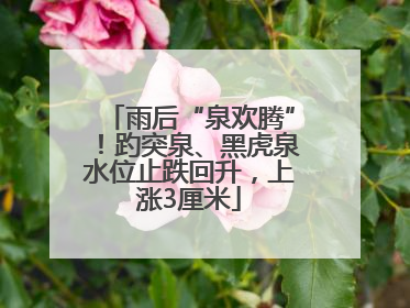 雨后“泉欢腾”！趵突泉、黑虎泉水位止跌回升，上涨3厘米