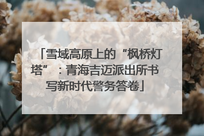 雪域高原上的“枫桥灯塔”：青海吉迈派出所书写新时代警务答卷