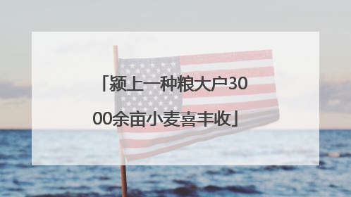 颍上一种粮大户3000余亩小麦喜丰收