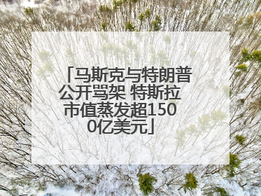 马斯克与特朗普公开骂架 特斯拉市值蒸发超1500亿美元