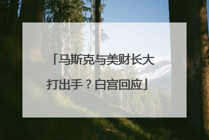 马斯克与美财长大打出手？白宫回应