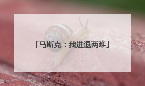 马斯克：我进退两难