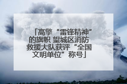 高擎“雷锋精神”的旗帜 望城区消防救援大队获评“全国文明单位”称号
