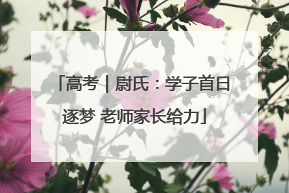 高考｜尉氏：学子首日逐梦 老师家长给力