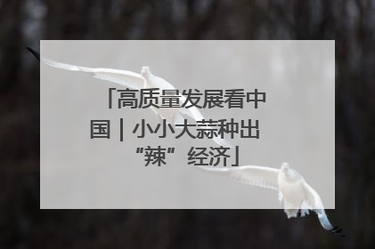 高质量发展看中国｜小小大蒜种出“辣”经济