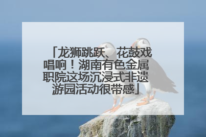 龙狮跳跃、花鼓戏唱响！湖南有色金属职院这场沉浸式非遗游园活动很带感