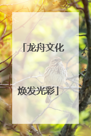 龙舟文化焕发光彩