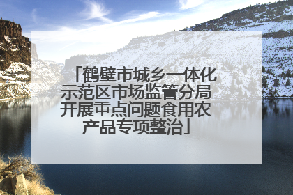 鹤壁市城乡一体化示范区市场监管分局开展重点问题食用农产品专项整治