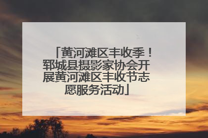 黄河滩区丰收季！郓城县摄影家协会开展黄河滩区丰收节志愿服务活动