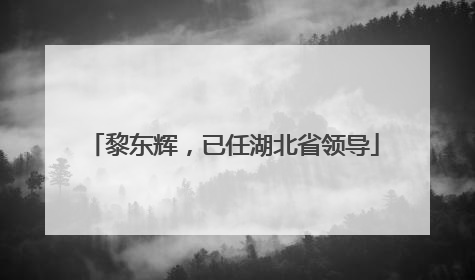 黎东辉，已任湖北省领导