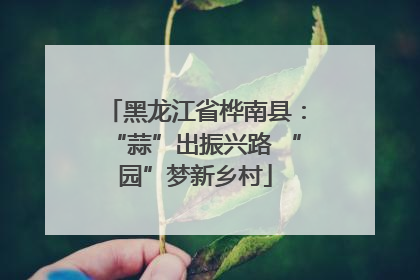 黑龙江省桦南县：“蒜”出振兴路 “园”梦新乡村
