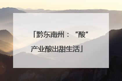 黔东南州：“酸”产业酿出甜生活