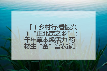 （乡村行·看振兴）“正北芪之乡”：千年草本焕活力 药材生“金”富农家