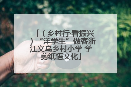 （乡村行·看振兴）“洋学生”做客浙江义乌乡村小学 学剪纸悟文化