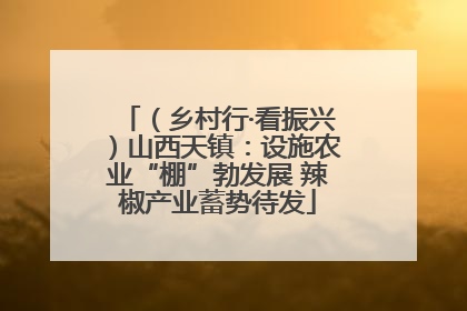 （乡村行·看振兴）山西天镇：设施农业“棚”勃发展 辣椒产业蓄势待发