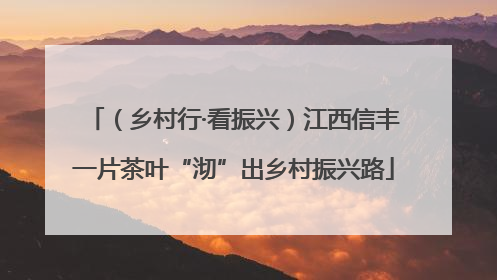 （乡村行·看振兴）江西信丰一片茶叶“沏”出乡村振兴路