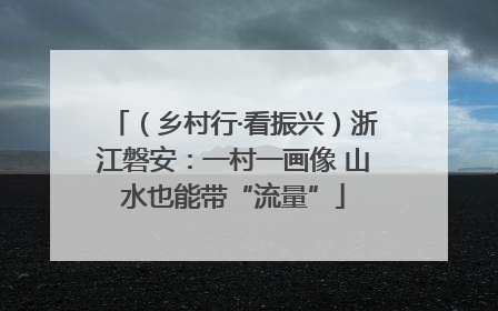 （乡村行·看振兴）浙江磐安：一村一画像 山水也能带“流量”