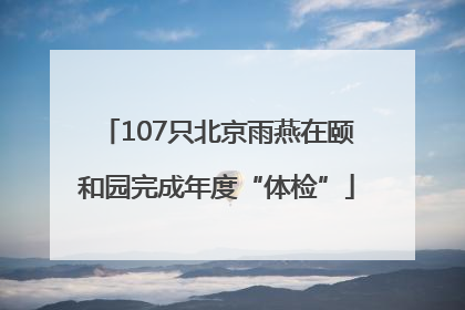 107只北京雨燕在颐和园完成年度“体检”