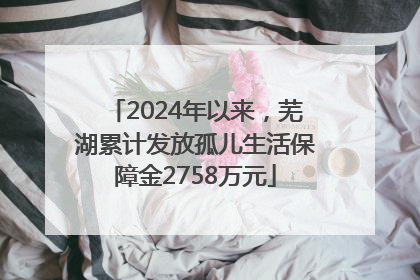 2024年以来，芜湖累计发放孤儿生活保障金2758万元