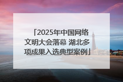 2025年中国网络文明大会落幕 湖北多项成果入选典型案例