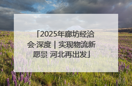 2025年廊坊经洽会·深度｜实现物流新愿景 河北再出发