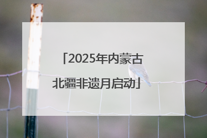 2025年内蒙古北疆非遗月启动