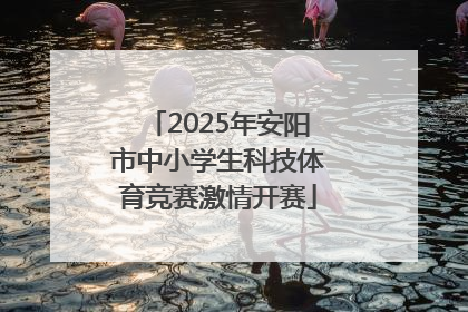 2025年安阳市中小学生科技体育竞赛激情开赛