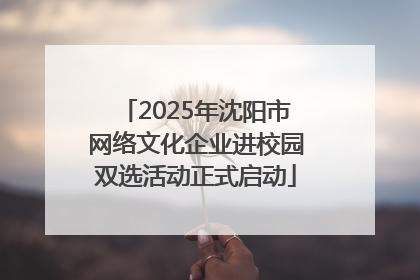 2025年沈阳市网络文化企业进校园双选活动正式启动
