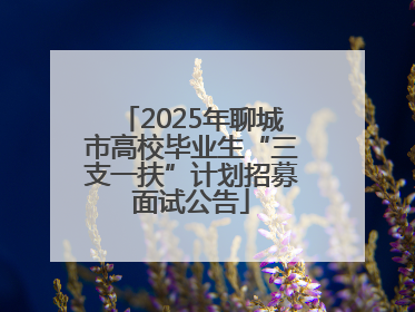 2025年聊城市高校毕业生“三支一扶”计划招募面试公告