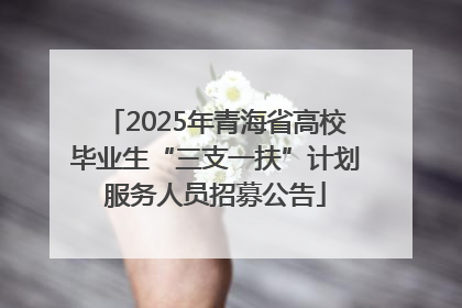 2025年青海省高校毕业生“三支一扶”计划服务人员招募公告